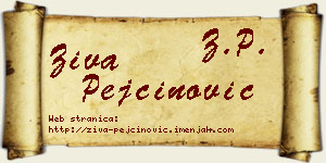 Živa Pejčinović vizit kartica
